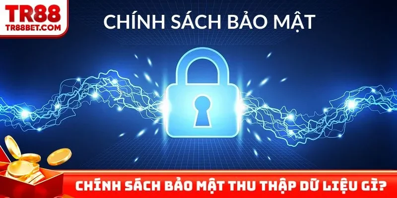 Chính sách bảo mật thu thập những dữ liệu gì?