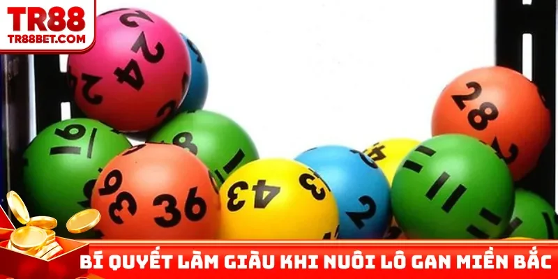 Bí quyết làm giàu khi nuôi lô gan miền Bắc