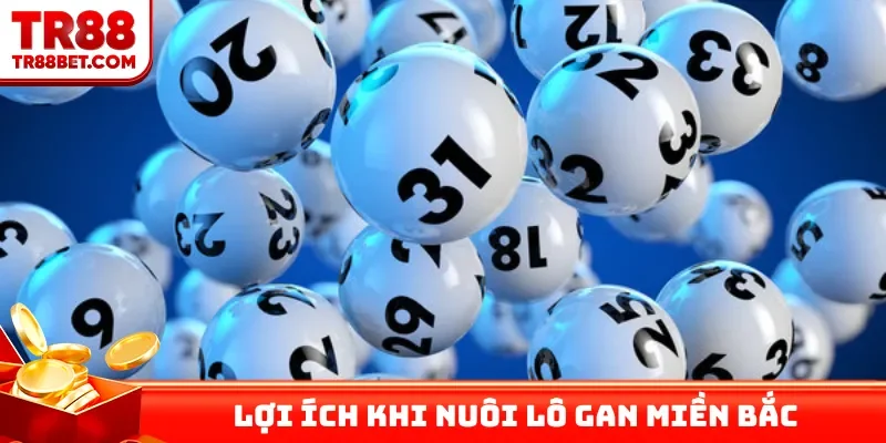 Lợi ích xanh chín khi nuôi lô gan miền Bắc