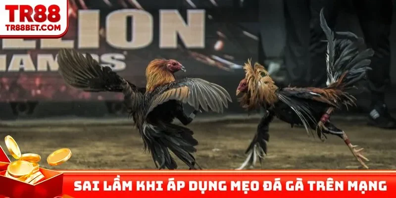 Sai lầm khi áp dụng mẹo đá gà trên mạng