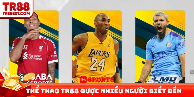 Thể thao TR88 ngày càng được nhiều người biết đến